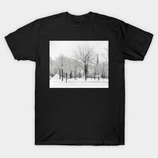 Winter in the Park, 1915. Vintage Photo T-Shirt